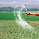 Agriculture