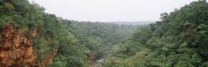 Chhattisgarh Forest